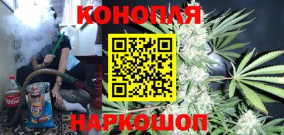 jwh Новозыбков
