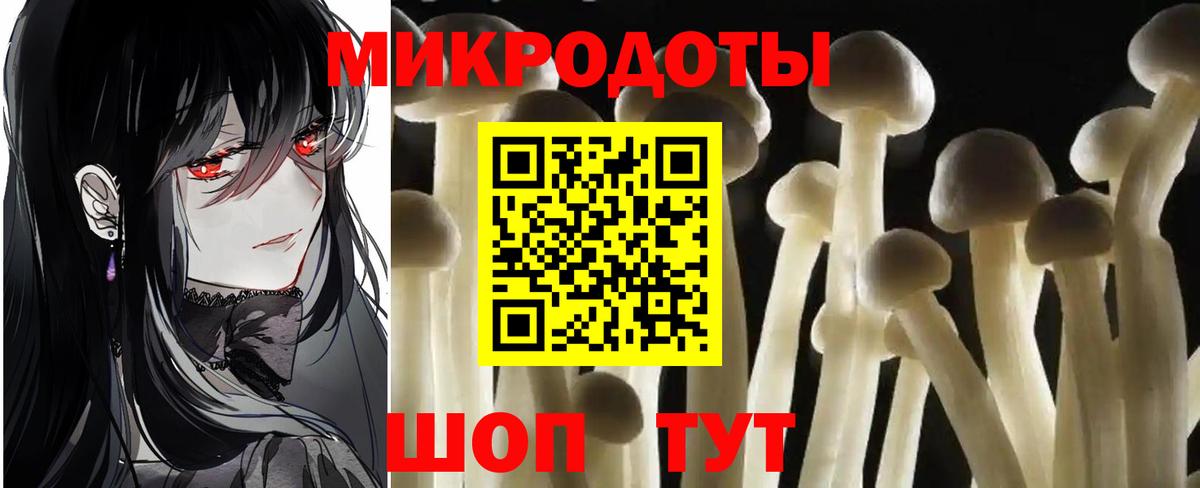 Галлюциногенные грибы Cubensis Сланцы
