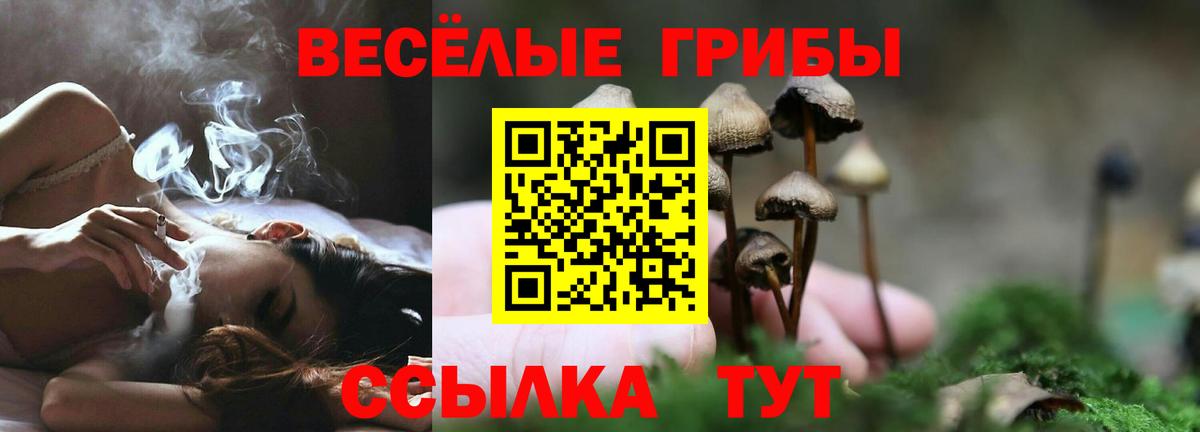 Галлюциногенные грибы Cubensis  купить наркоту  Галлюциногенные грибы мухоморы  Сланцы  Вход с VPN 